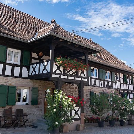 Chambres D'Hotes De Charme A La Ferme Freysz Quatzenheim Bagian luar foto