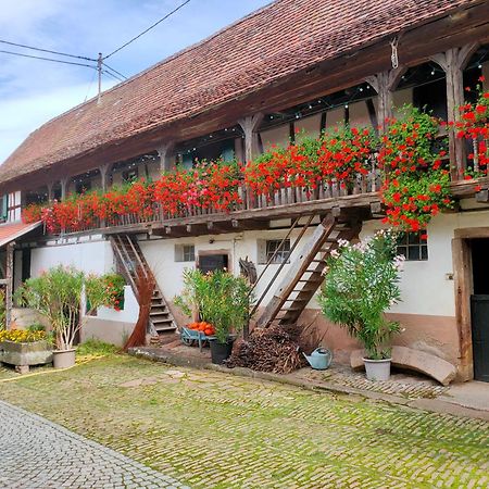 Chambres D'Hotes De Charme A La Ferme Freysz Quatzenheim Bagian luar foto