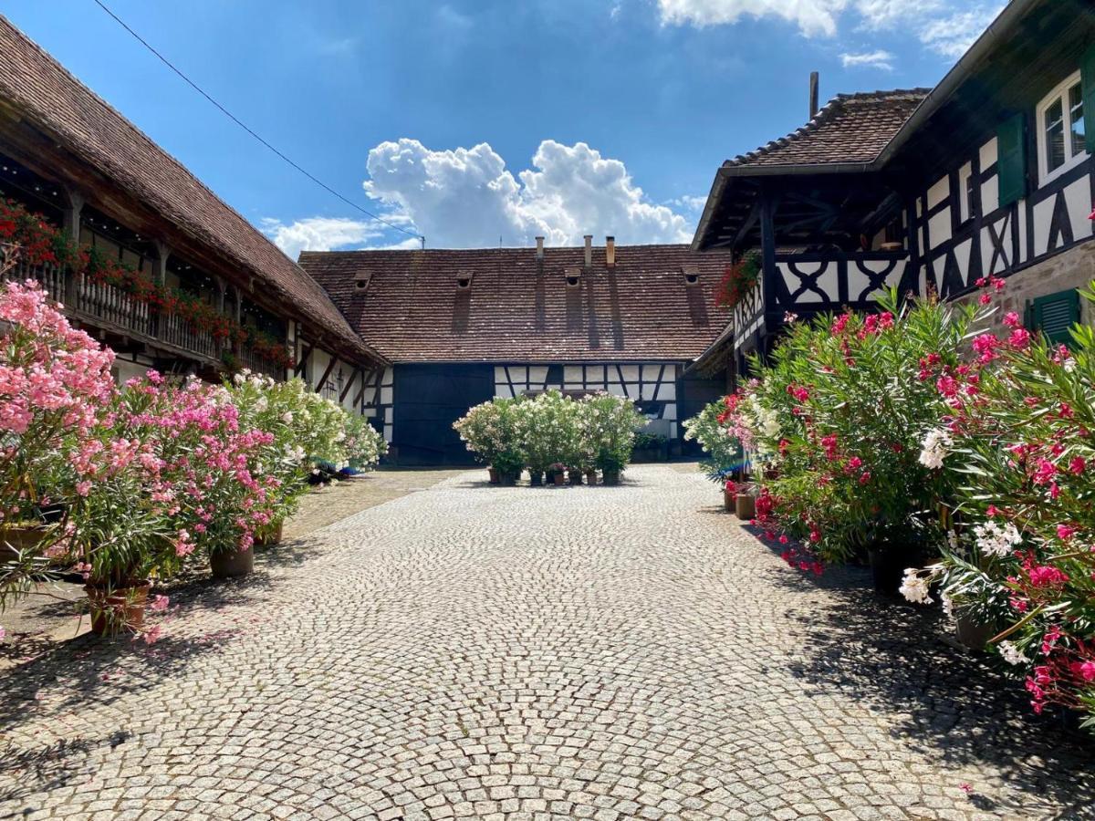 Chambres D'Hotes De Charme A La Ferme Freysz Quatzenheim Bagian luar foto