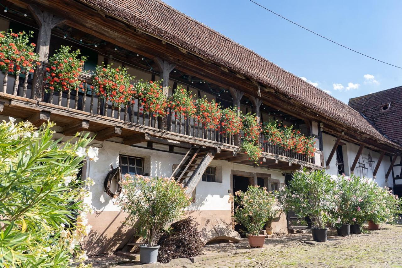 Chambres D'Hotes De Charme A La Ferme Freysz Quatzenheim Bagian luar foto