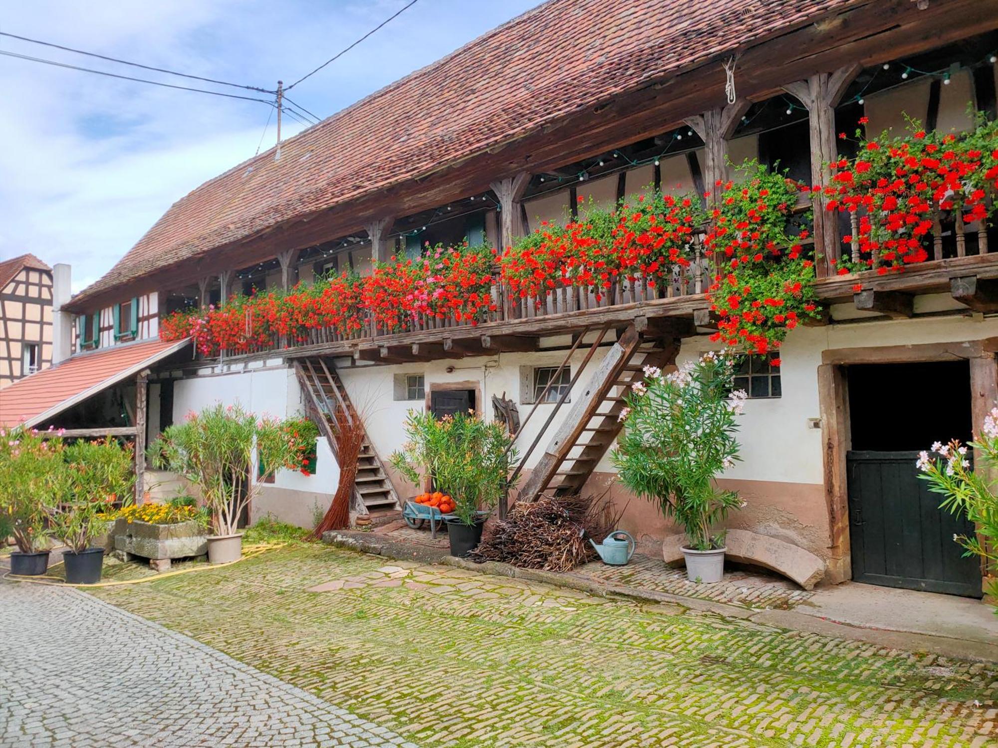 Chambres D'Hotes De Charme A La Ferme Freysz Quatzenheim Bagian luar foto